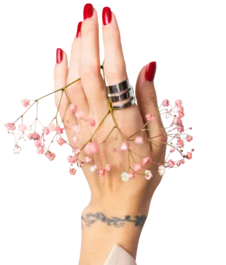 soft-gentle-photo-woman-hand-with-big-ring-red-manicure-hold-cute-little-pink-dried-flowers-white-PhotoRoom 1 (1)